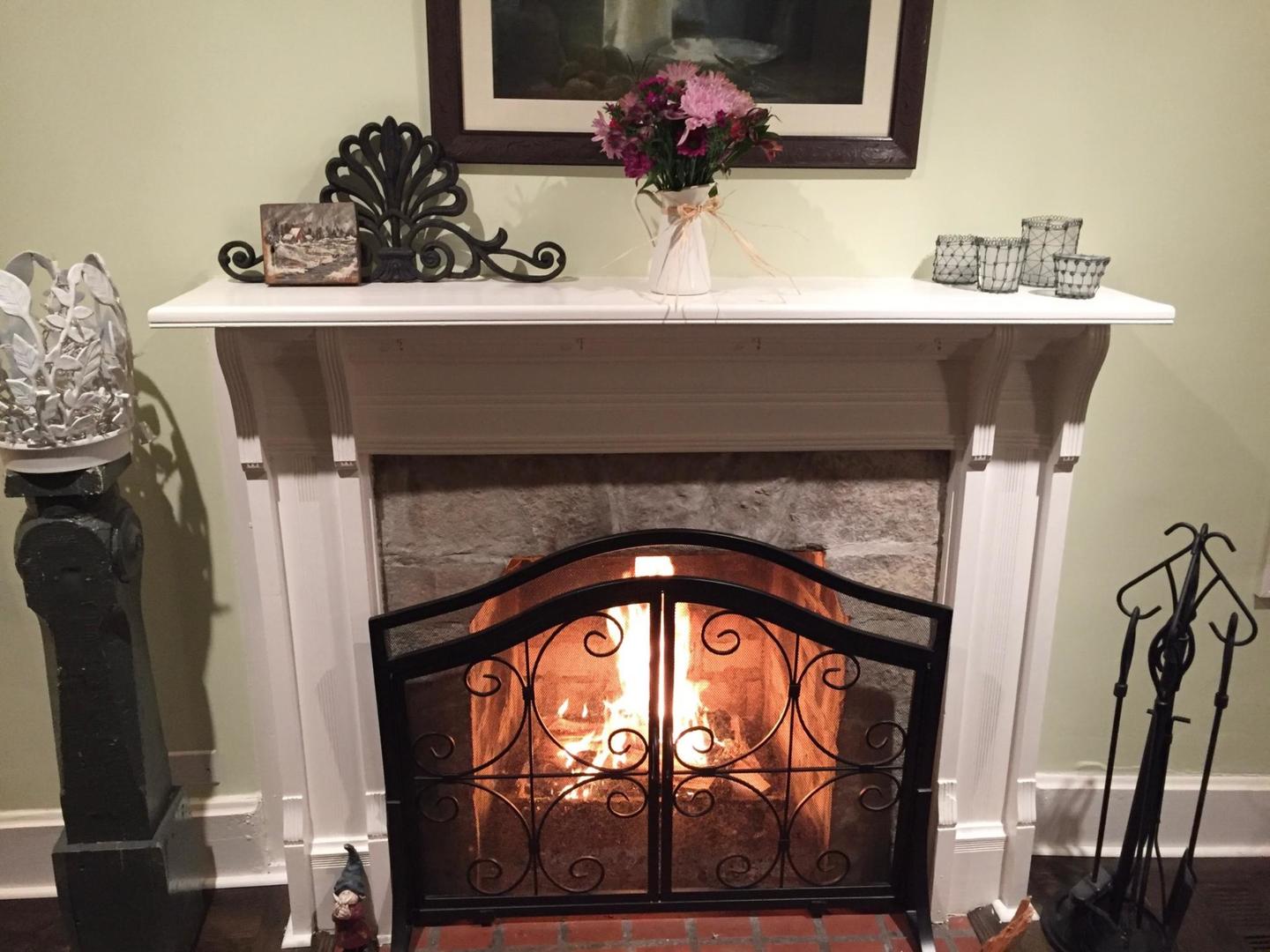 1619 Fowler Avenue Evanston, IL 60201 - Photo 8 of 48