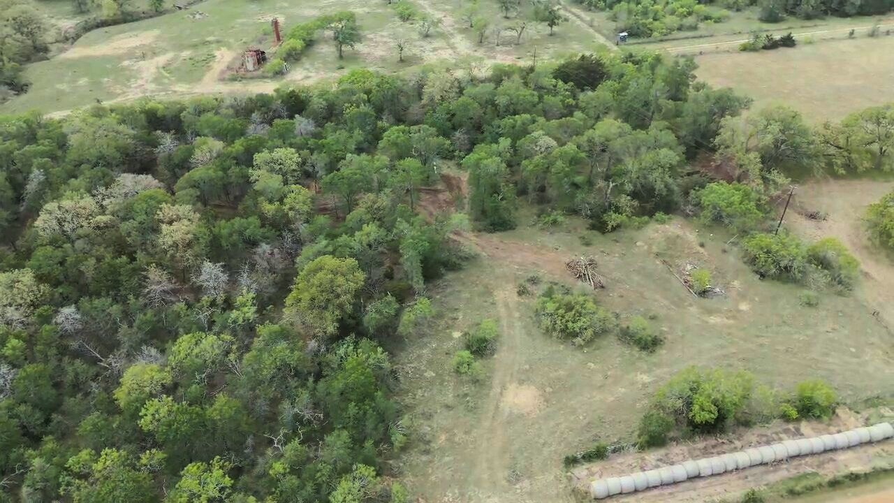 Tbd Lot 2 Tbd Road Paige, TX 78659 - Photo 14 of 25 a view of a forest with a street