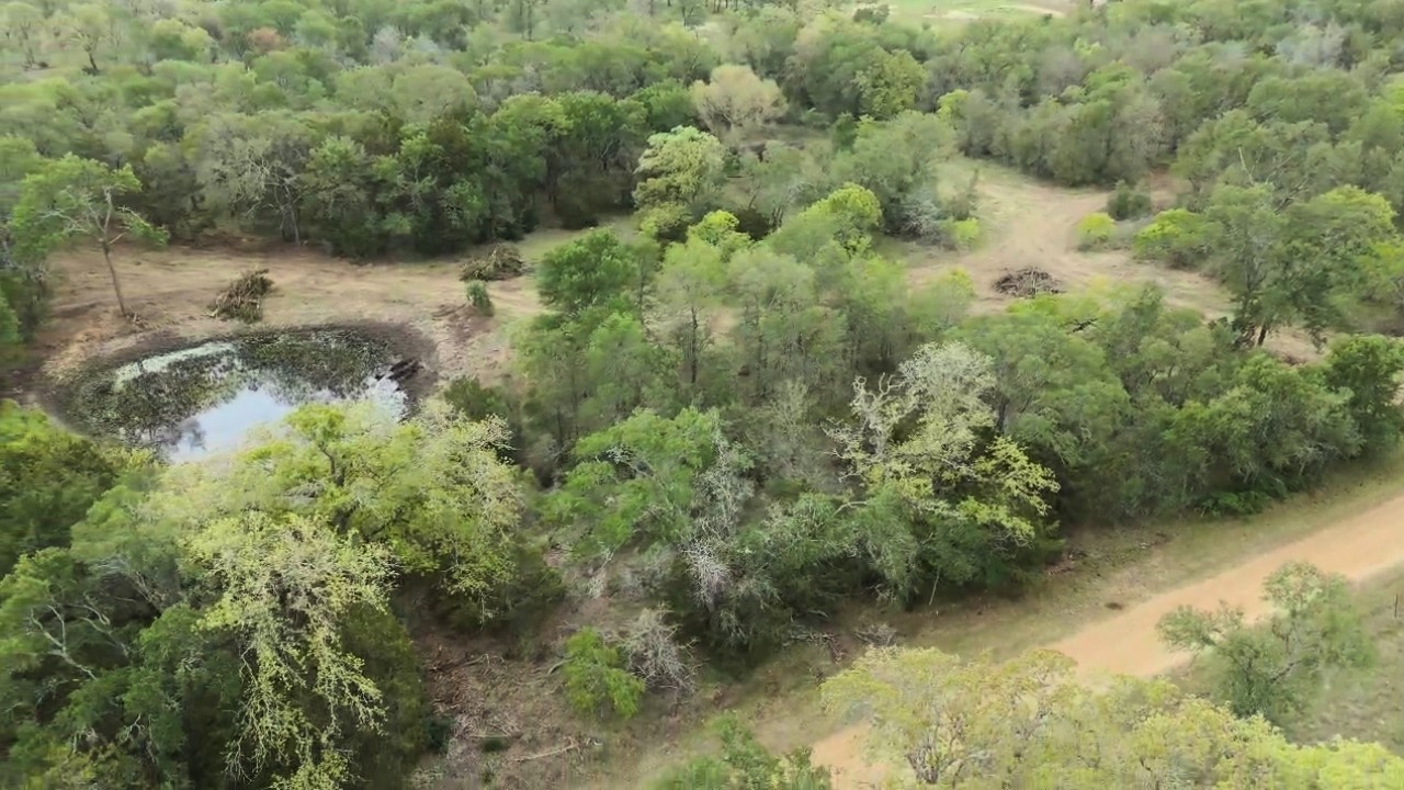 Tbd Lot 2 Tbd Road Paige, TX 78659 - Photo 18 of 25 a view of a forest with a house