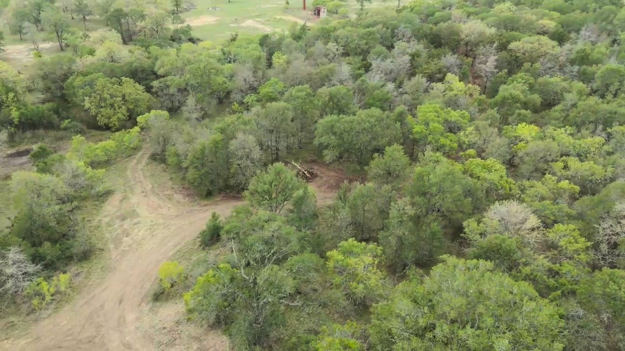 Tbd Lot 2 Tbd Road Paige, TX 78659 - Photo 19 of 25 a view of a forest with a street