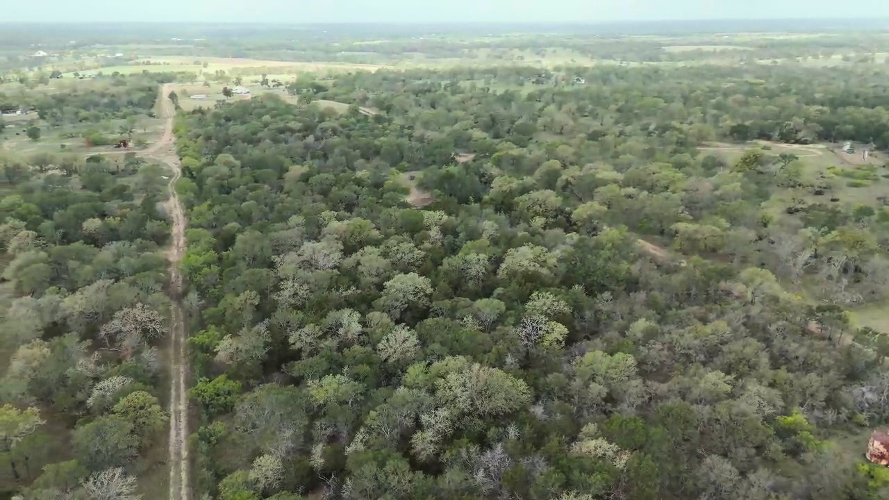 Tbd Lot 2 Tbd Road Paige, TX 78659 - Photo 6 of 25 an aerial view of residential houses with outdoor space