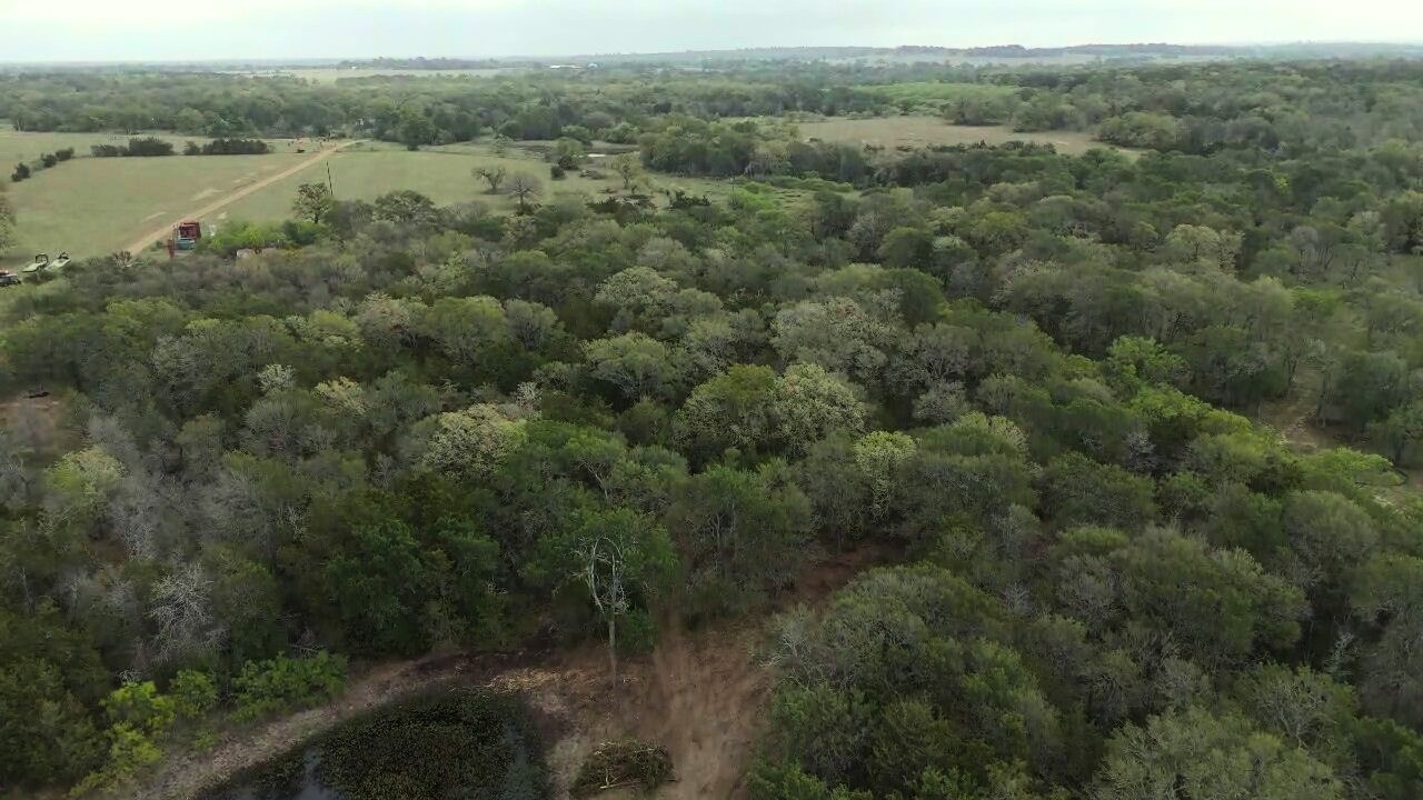 Tbd Lot 2 Tbd Road Paige, TX 78659 - Photo 9 of 25 a view of a forest with a lake