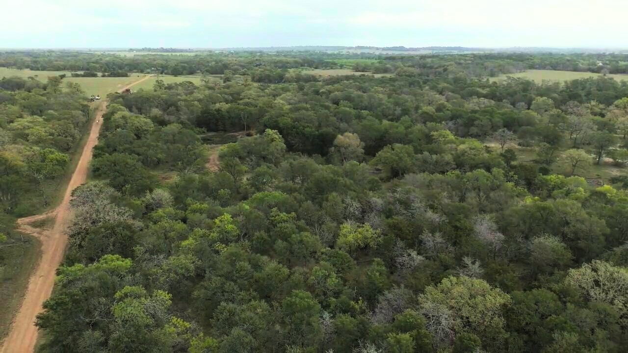 Tbd Lot 2 Tbd Road Paige, TX 78659 - Photo 10 of 25 an aerial view of forest