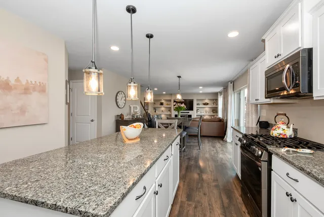 $550,000 | 1981 Stapleton Road, New Lenox, IL 60451