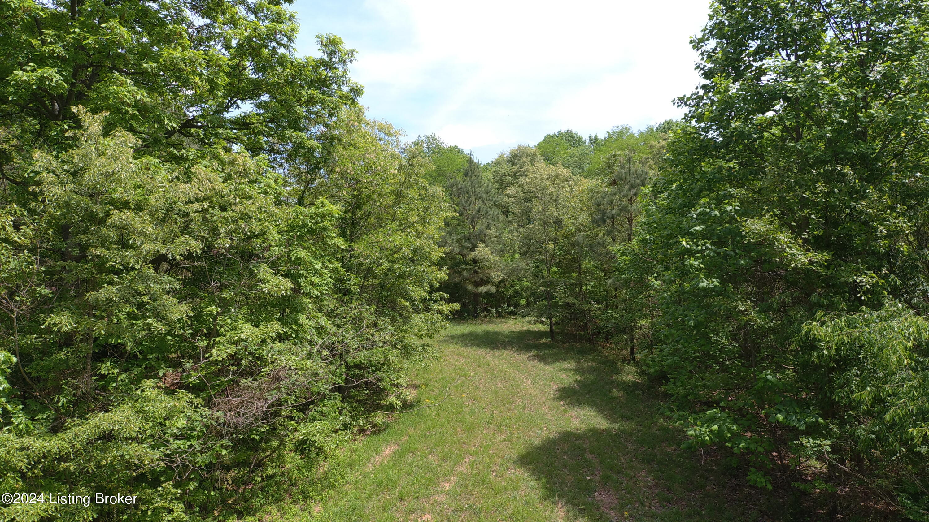 0 Eastview Road Cecilia, KY 42724 - Photo 9 of 35 MAX_0072