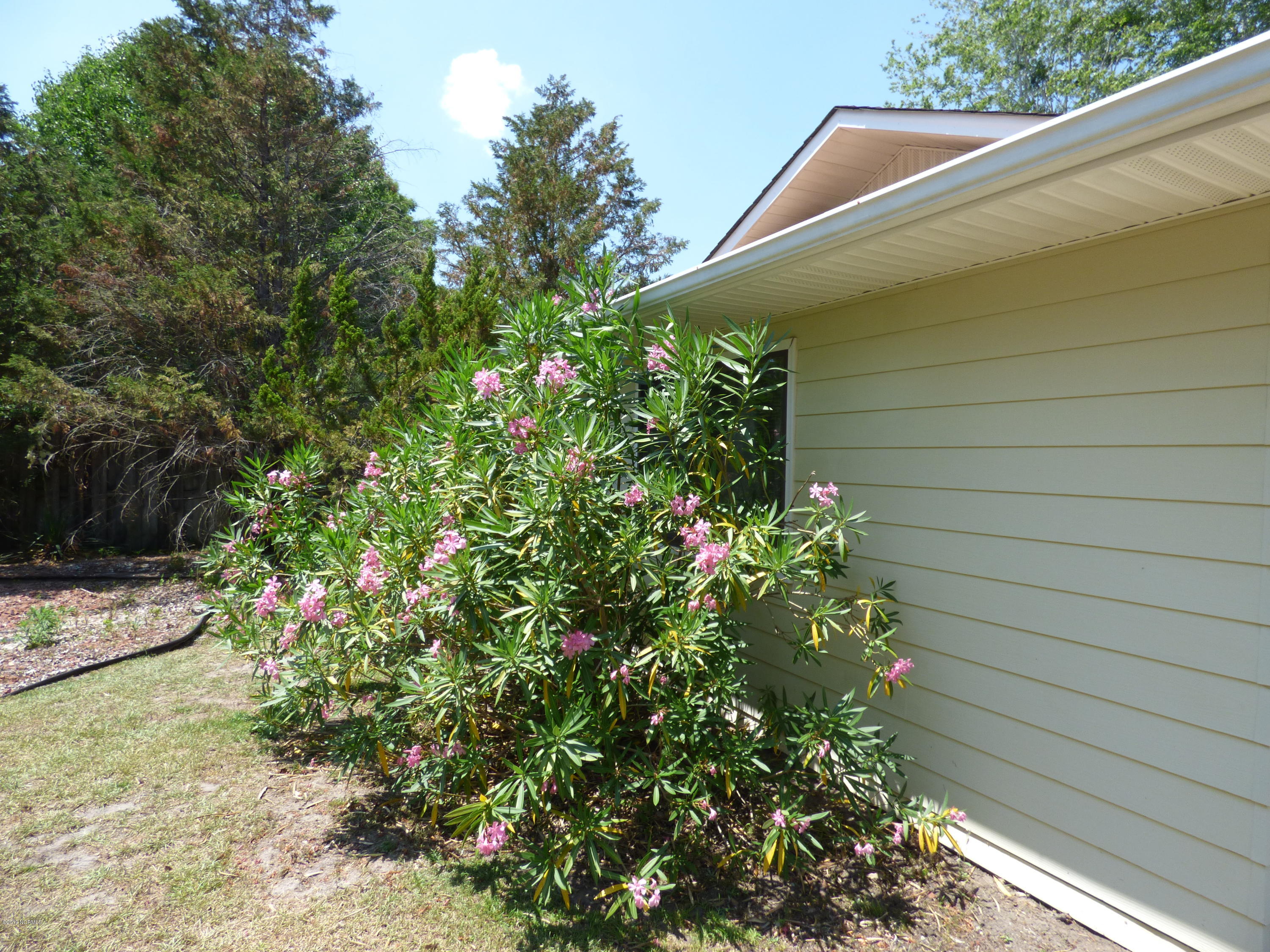 93 Cedar Tree Lane Southwest Calabash, NC 28467 - Photo 3 of 59 beautiful landscaping