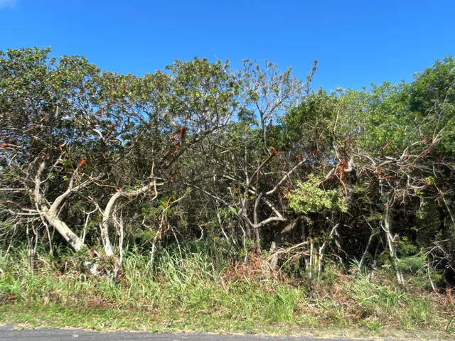 $68,000 | 201 Kia Lua Street, Naalehu, HI 96772