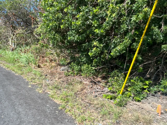 $68,000 | 201 Kia Lua Street, Naalehu, HI 96772