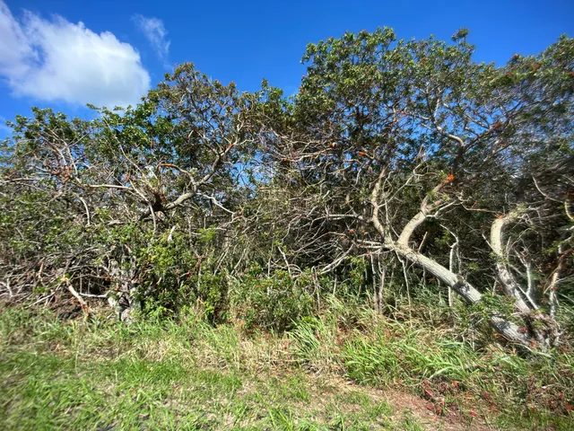 $68,000 | 201 Kia Lua Street, Naalehu, HI 96772