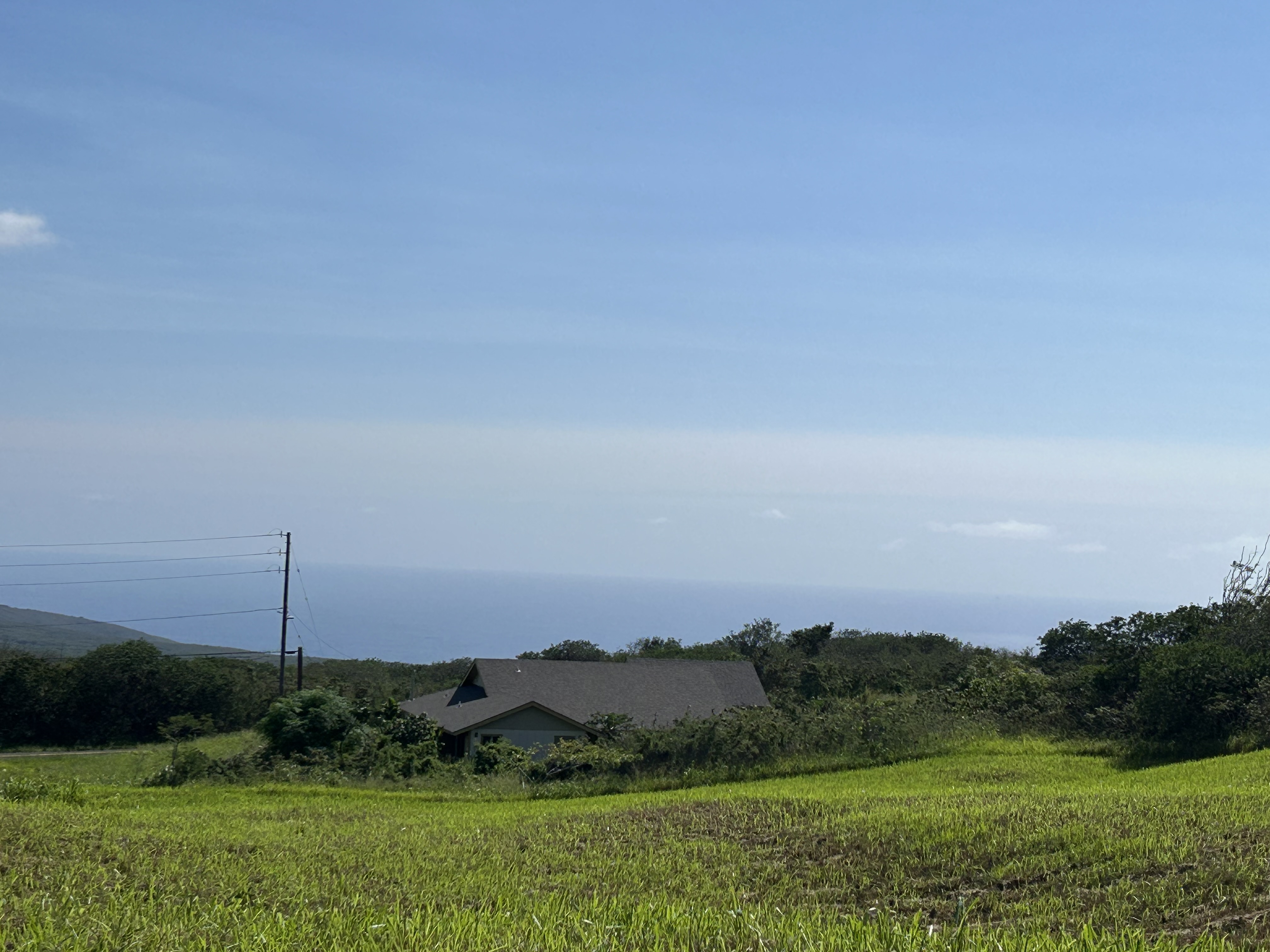 201 Kia Lua Street Naalehu, HI 96772 - Photo 7 of 8 a view of a garden with an buildings and a tree
