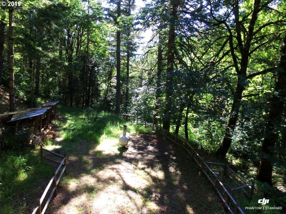 25441 Hall Road Junction City, OR 97448 - Photo 14 of 17 Gallery Image 14