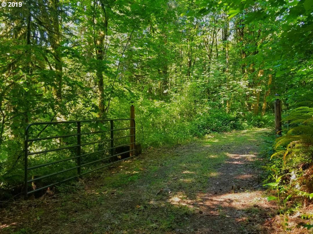 25441 Hall Road Junction City, OR 97448 - Photo 2 of 17 Gallery Image 2