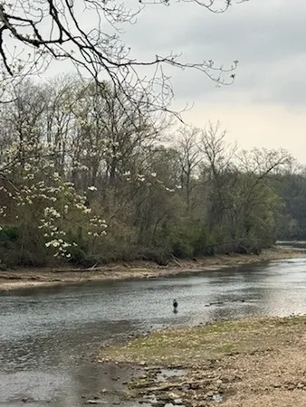 $799,900 | 854 Holston Shores Drive, Rutledge, TN 37861