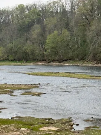 $799,900 | 854 Holston Shores Drive, Rutledge, TN 37861