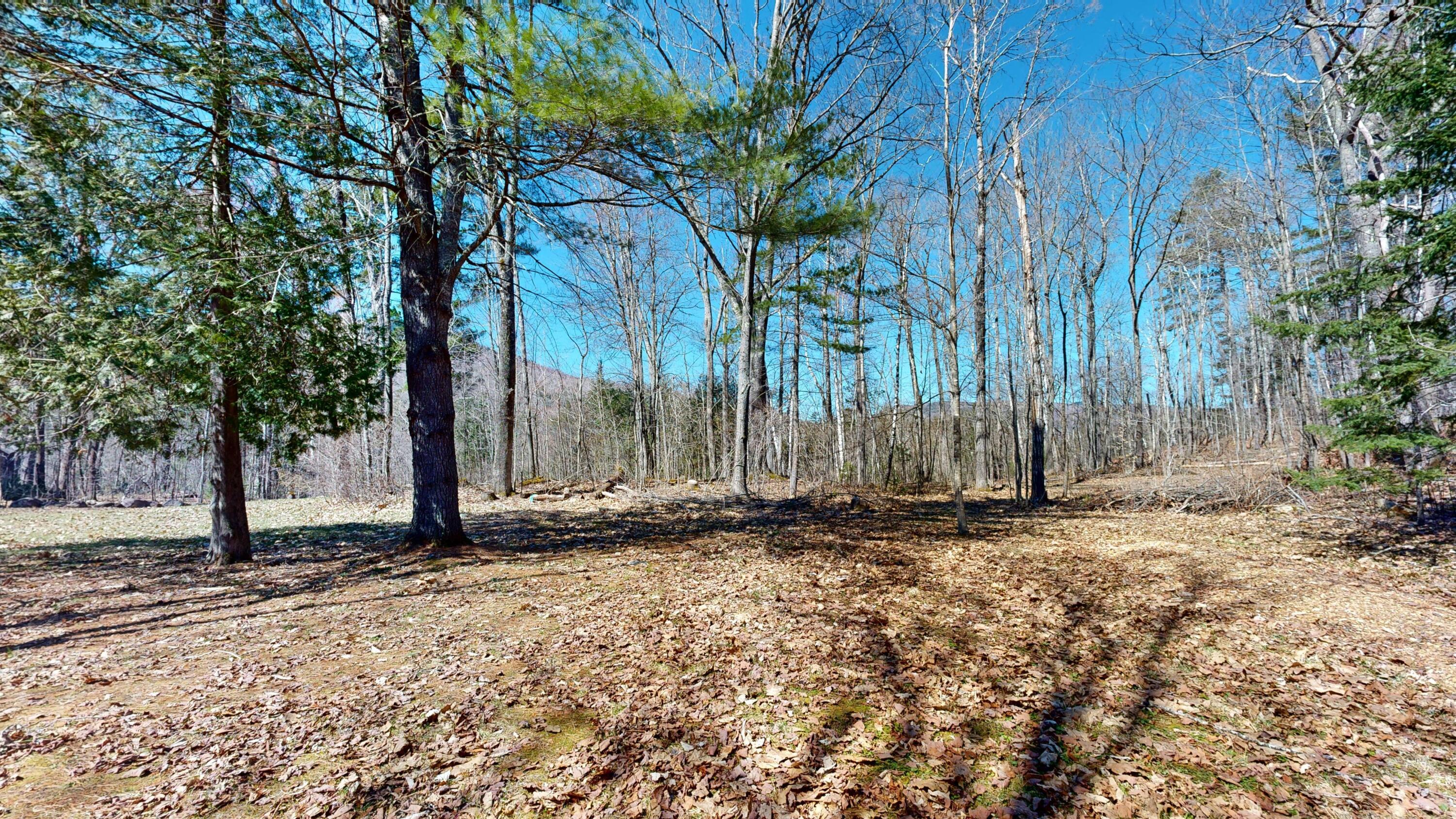 8 Dingle Hill Road Roxbury, ME 04275 - Photo 39 of 76 8-Dingle-Hill-Rd-Byron-ME-04275-04222024