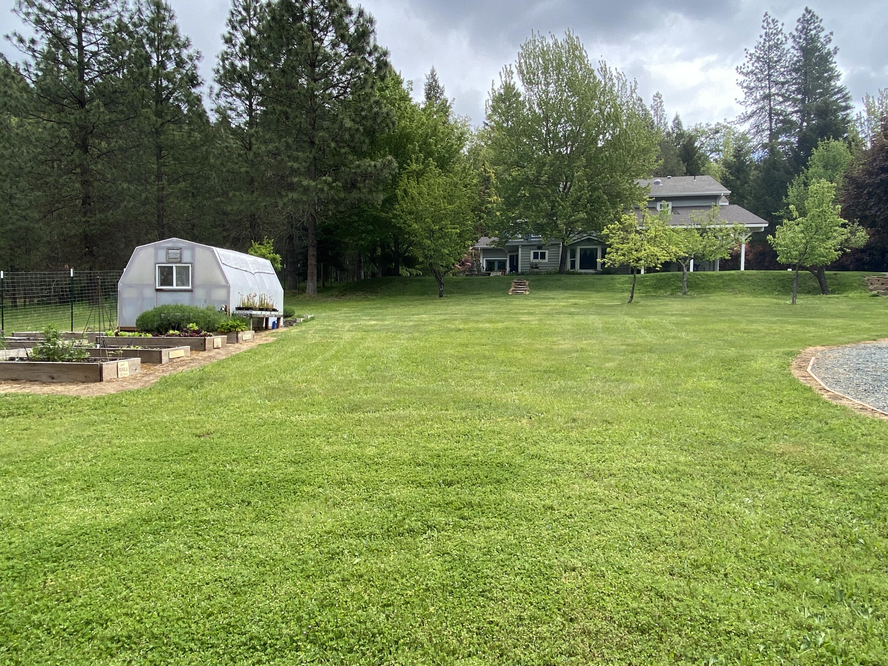 916 Ferry Road Grants Pass, OR 97526 - Photo 56 of 64 Looking across the lawn toward the house.