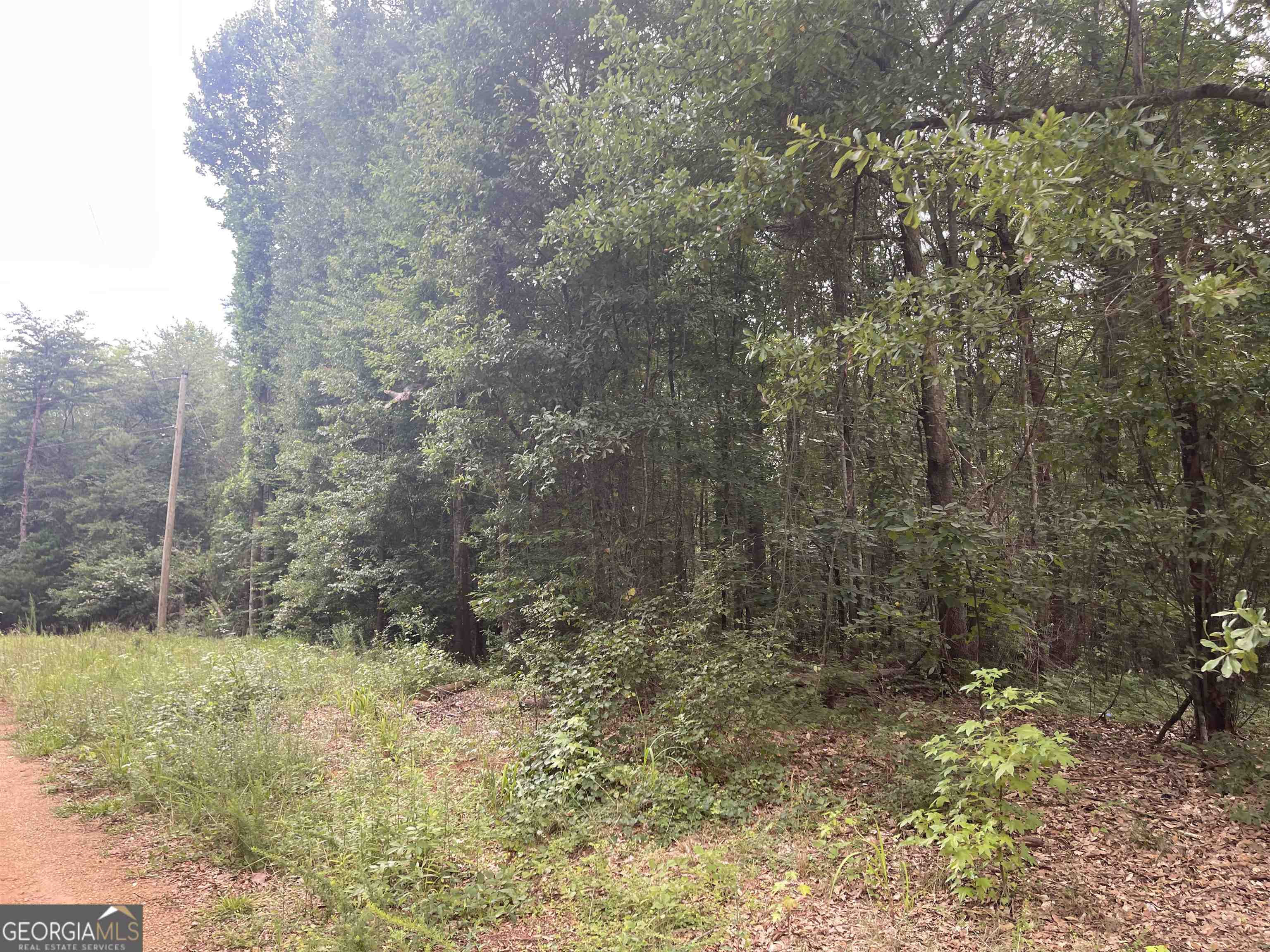 314 Vaughn Road Homer, GA 30547 - Photo 1 of 1