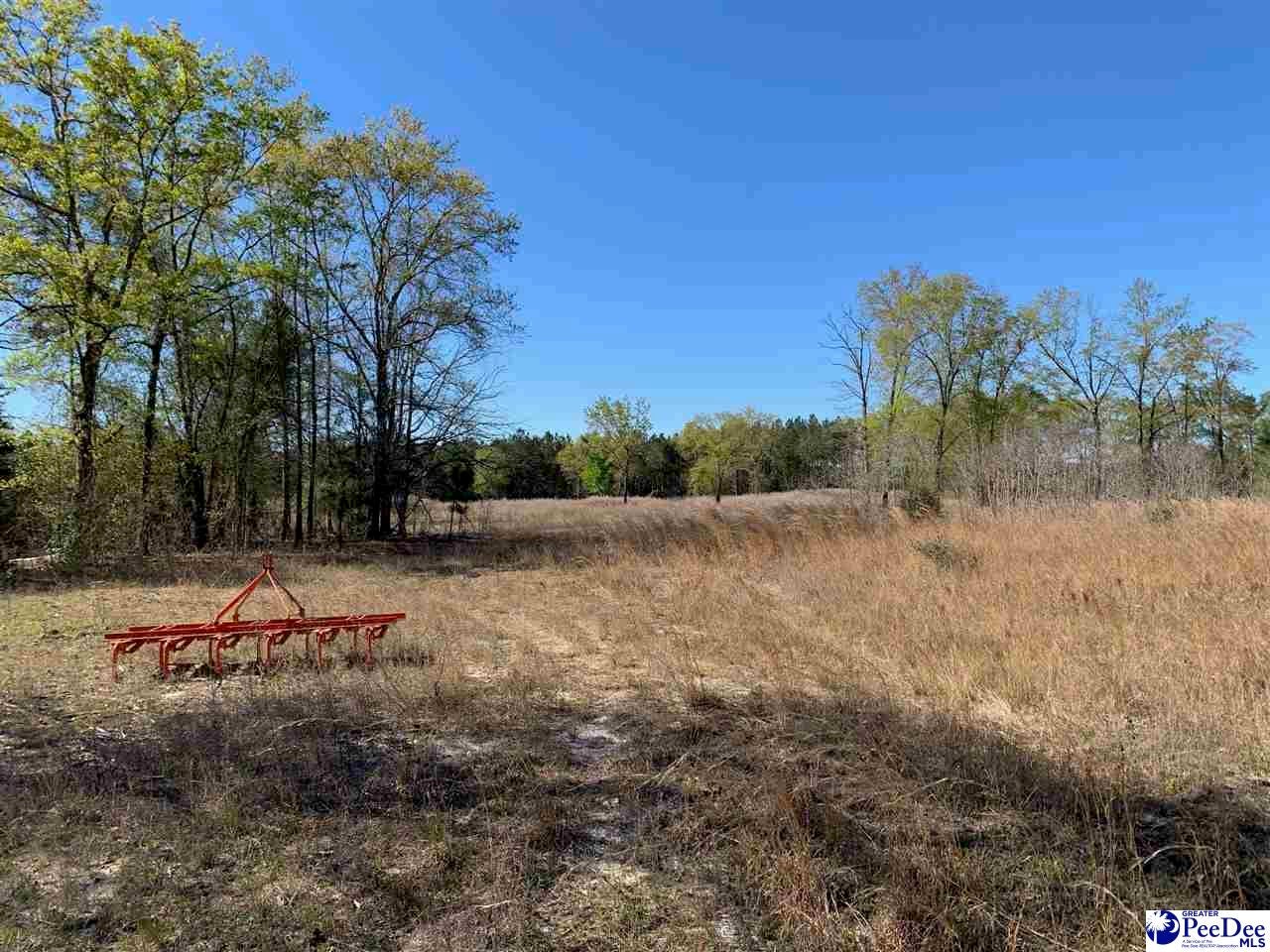 Tbd Bear Creek Road Chesterfield, SC 29709 - Photo 4 of 12 Gallery Image 4