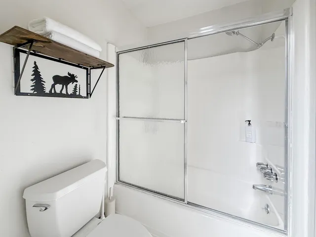 a bathroom with a shower and a toilet