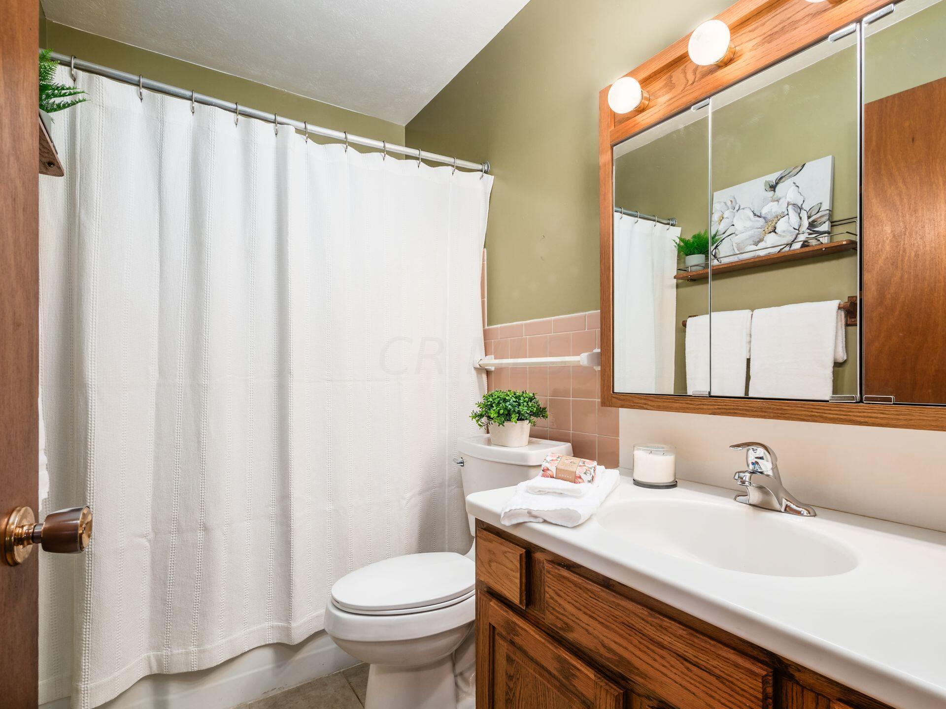995 Plum Ridge Columbus, OH 43213 - Photo 20 of 41 Hall Bath