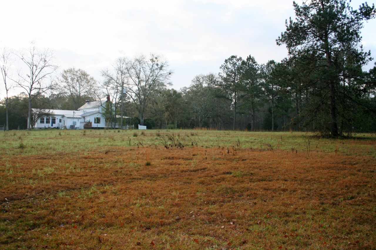 2081 Shady Rest Road Havana, FL 32333 - Photo 2 of 25 Gallery Image 2