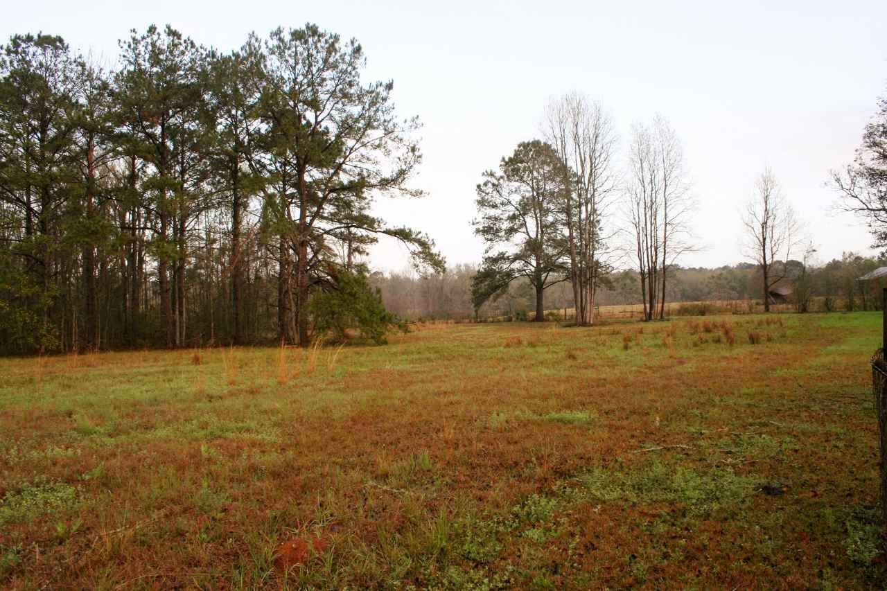 2081 Shady Rest Road Havana, FL 32333 - Photo 3 of 25 Gallery Image 3