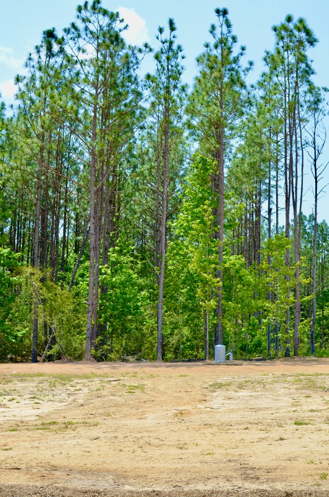758 South Watford Road Slocomb, AL 36375 - Photo 5 of 48