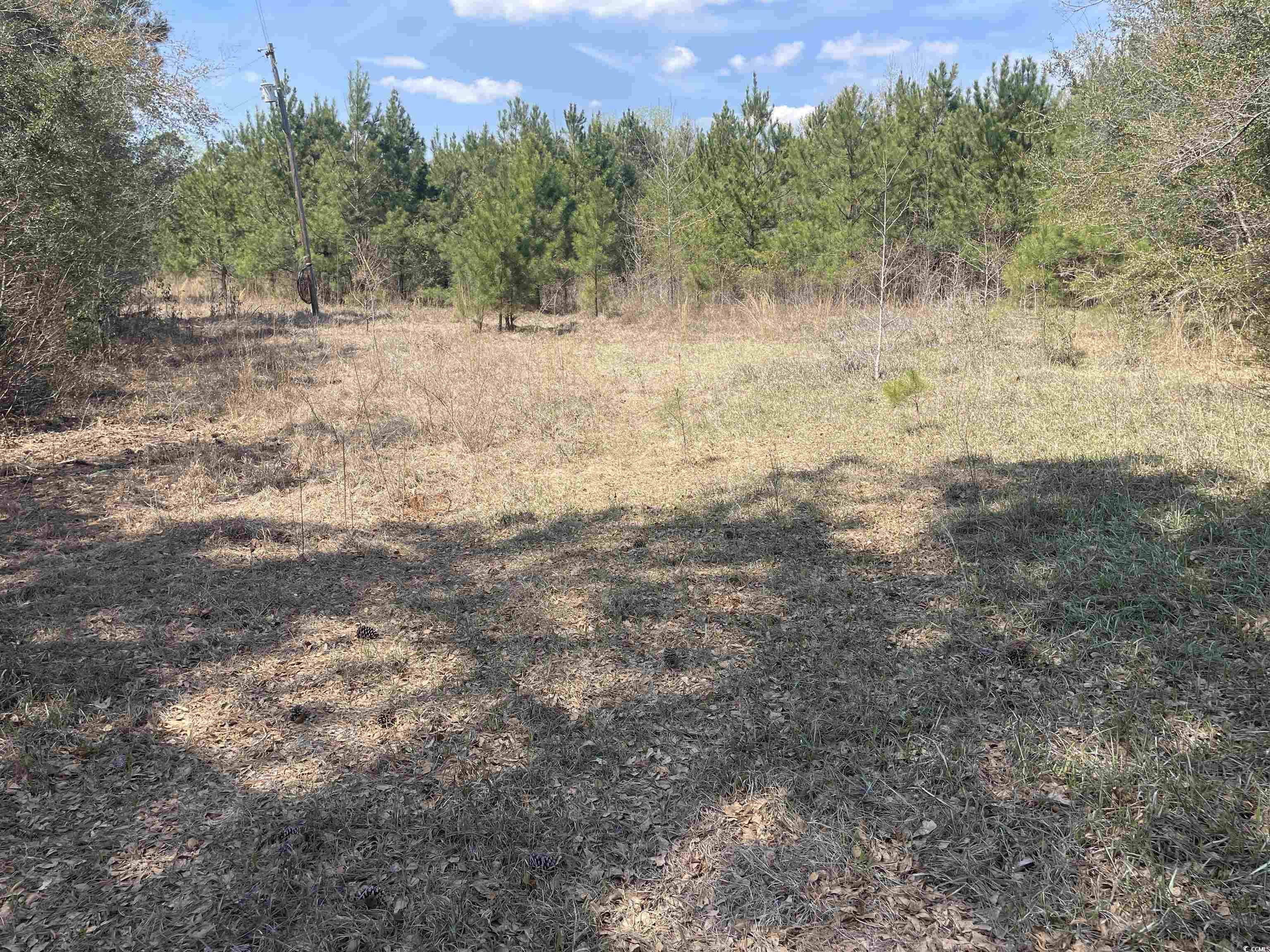 Tbd Hayfield Road Georgetown, SC 29440 - Photo 1 of 10 View of landscape