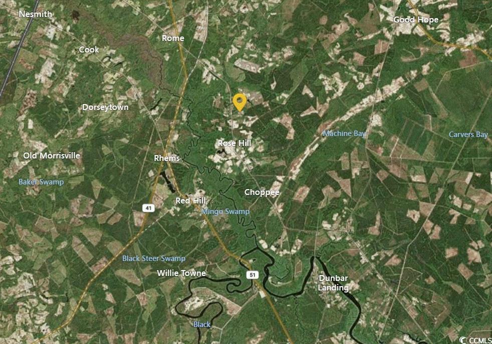 Tbd Hayfield Road Georgetown, SC 29440 - Photo 8 of 10 Map