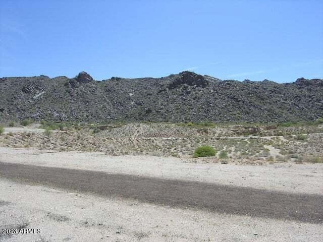 609 East Pearce Road Phoenix, AZ 85042 - Photo 33 of 33 Photo #32