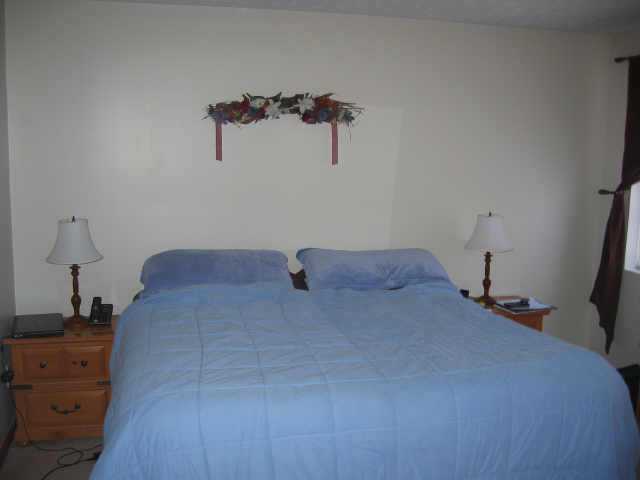 733 County Rd 165 Ashley, OH 43003 - Photo 4 of 6