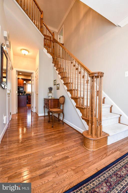 43339 Ritter Lane Chantilly, VA 20152 - Photo 5 of 30 Foyer