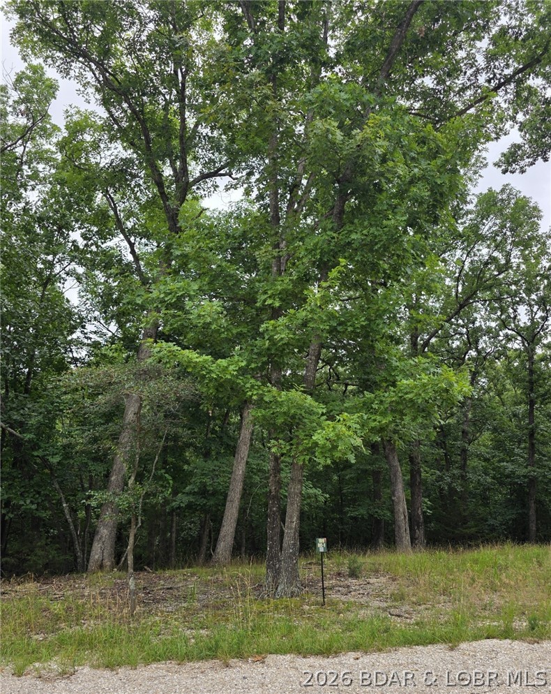 Lot 109 Terry Rd Lake Lake Ozark, MO 65049 - Photo 3 of 17