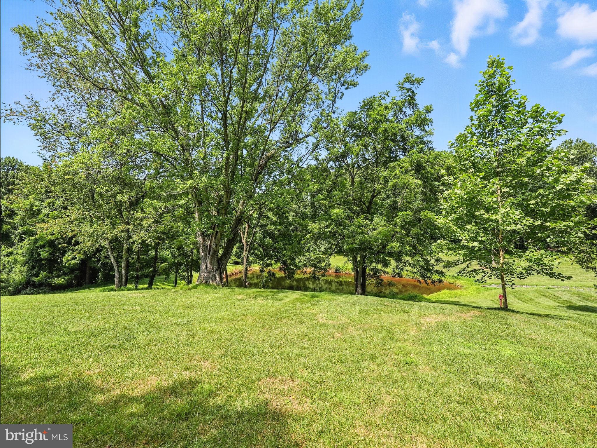 10505 Dunn Meadow Road Vienna, VA 22182 - Photo 41 of 46 Gallery Image 41