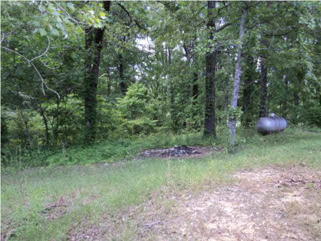 1584 Spring Hill Road Raymond, MS 39154 - Photo 5 of 15 Back yard