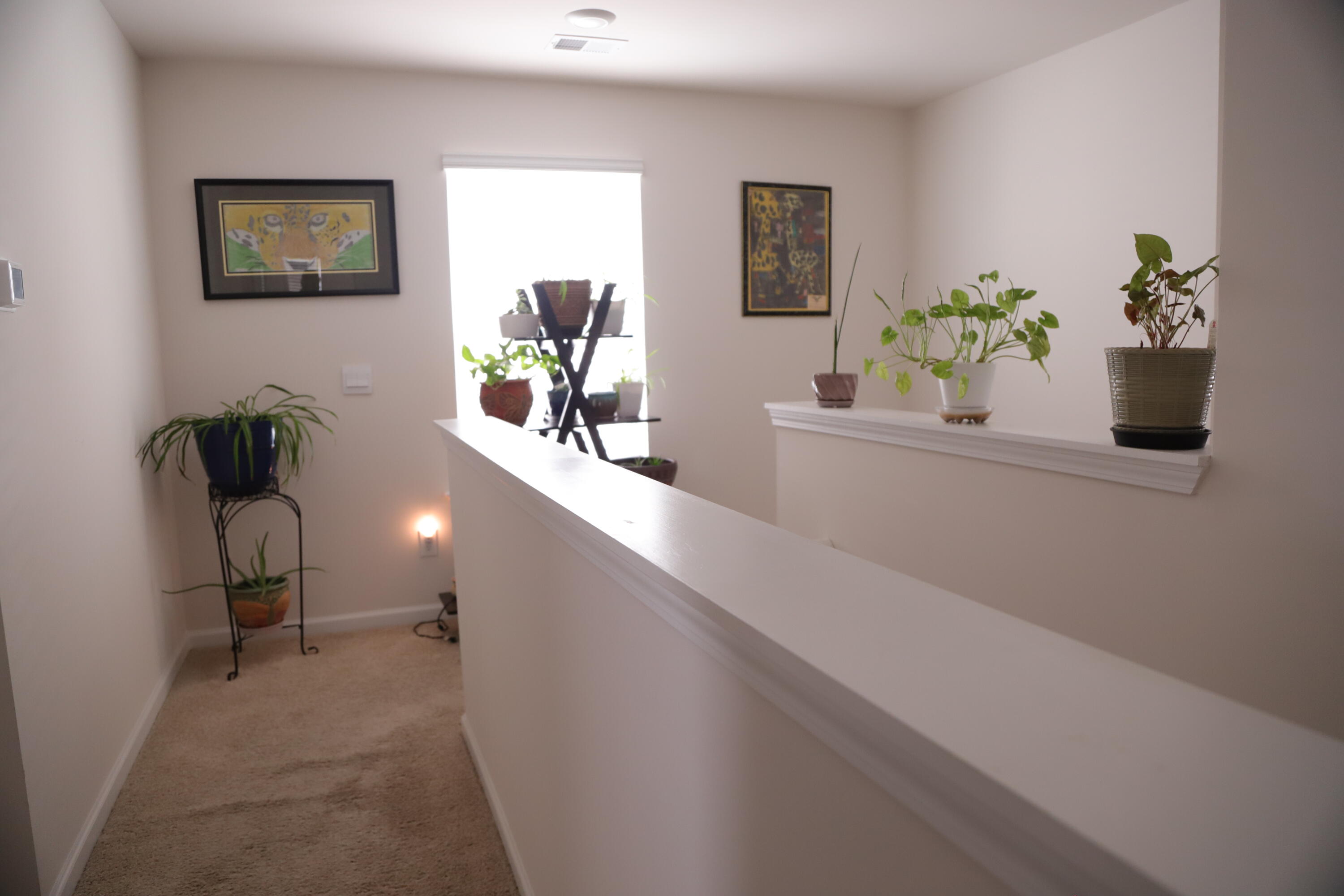 2075 Elmridge Road Columbia, SC 29209 - Photo 4 of 10 IMG_1237