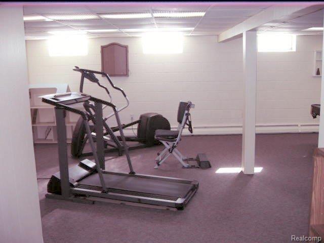 3702 North Road North Street, MI 48049 - Photo 19 of 20 LOWER LEV. III