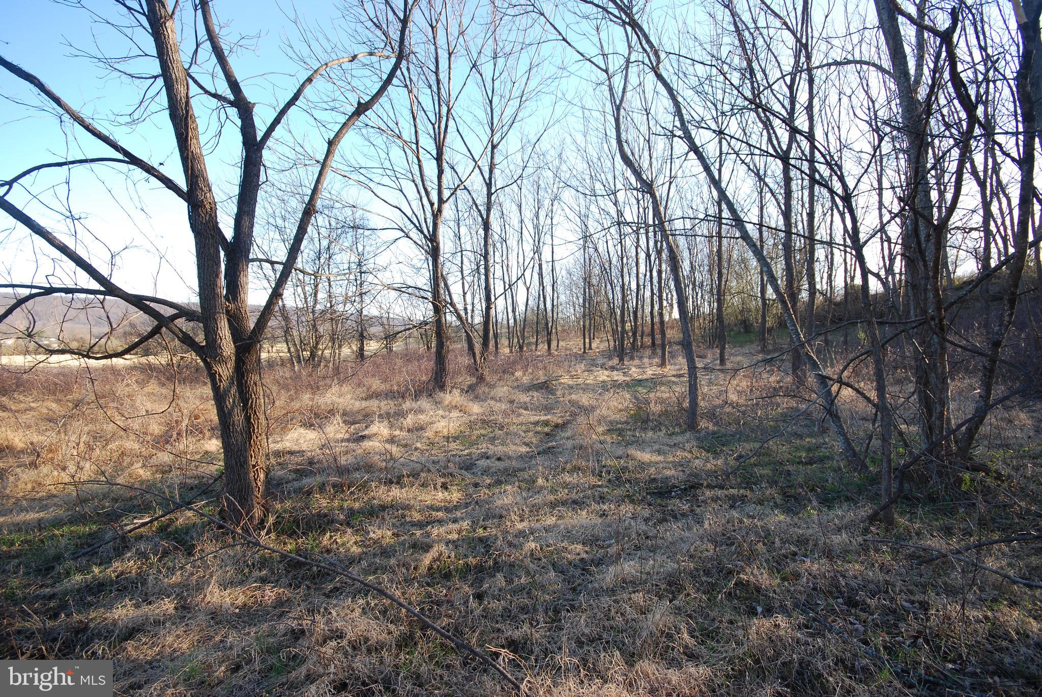 Dominion Road Gerrardstown, WV 25420 - Photo 11 of 61