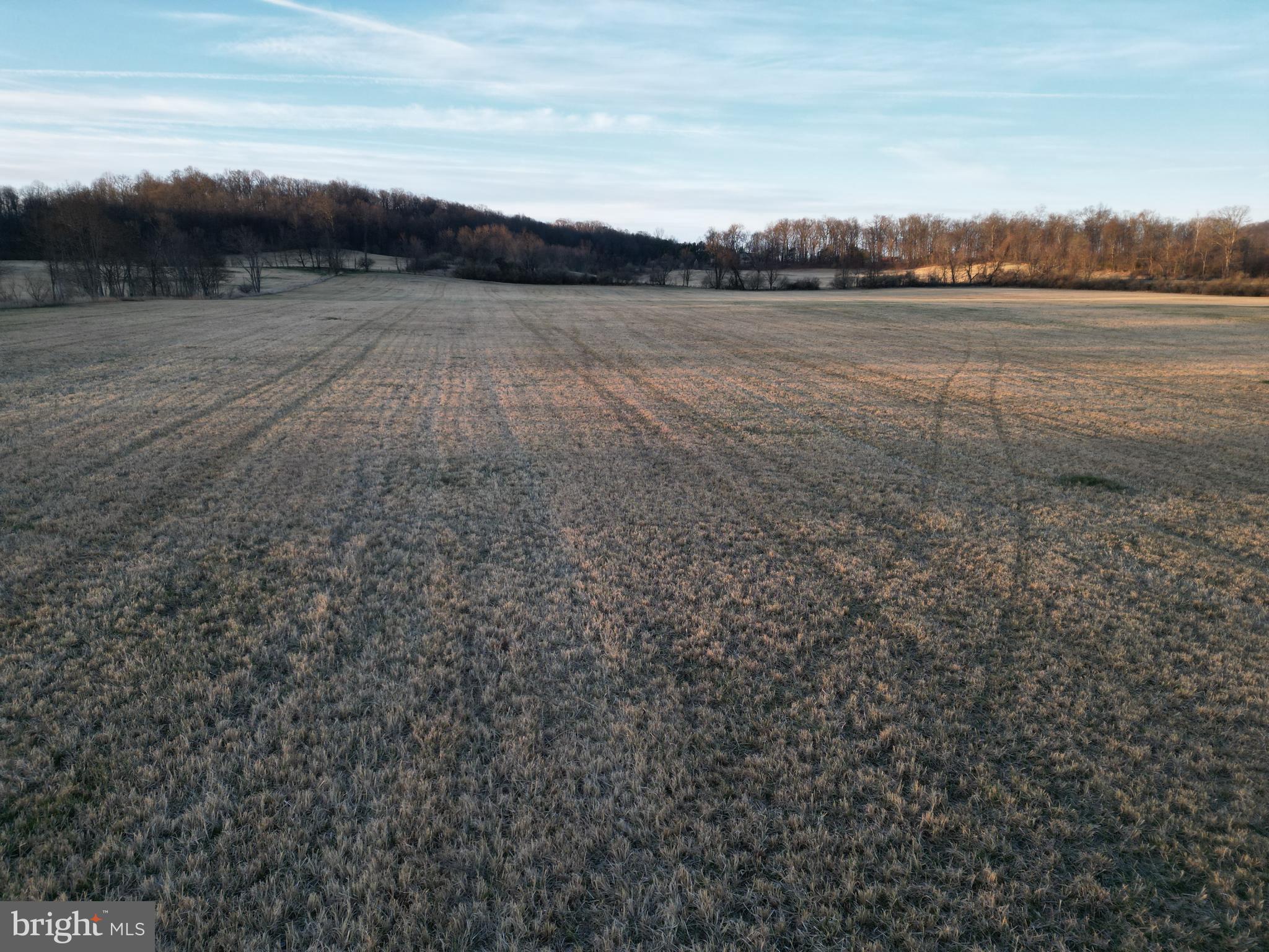 Dominion Road Gerrardstown, WV 25420 - Photo 14 of 61