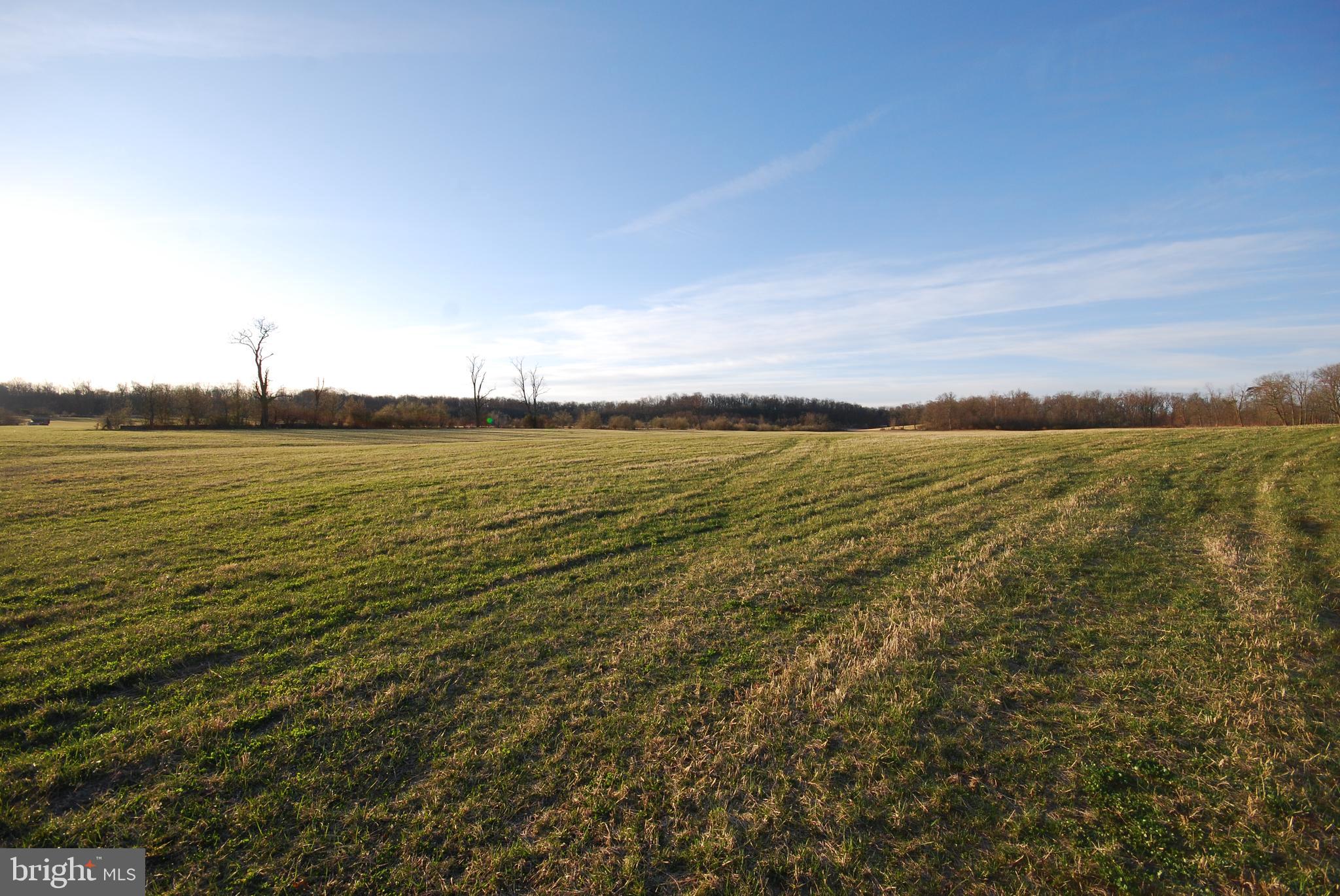 Dominion Road Gerrardstown, WV 25420 - Photo 18 of 61