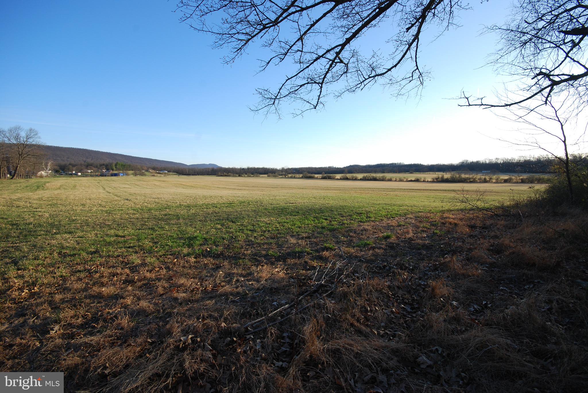 Dominion Road Gerrardstown, WV 25420 - Photo 21 of 61