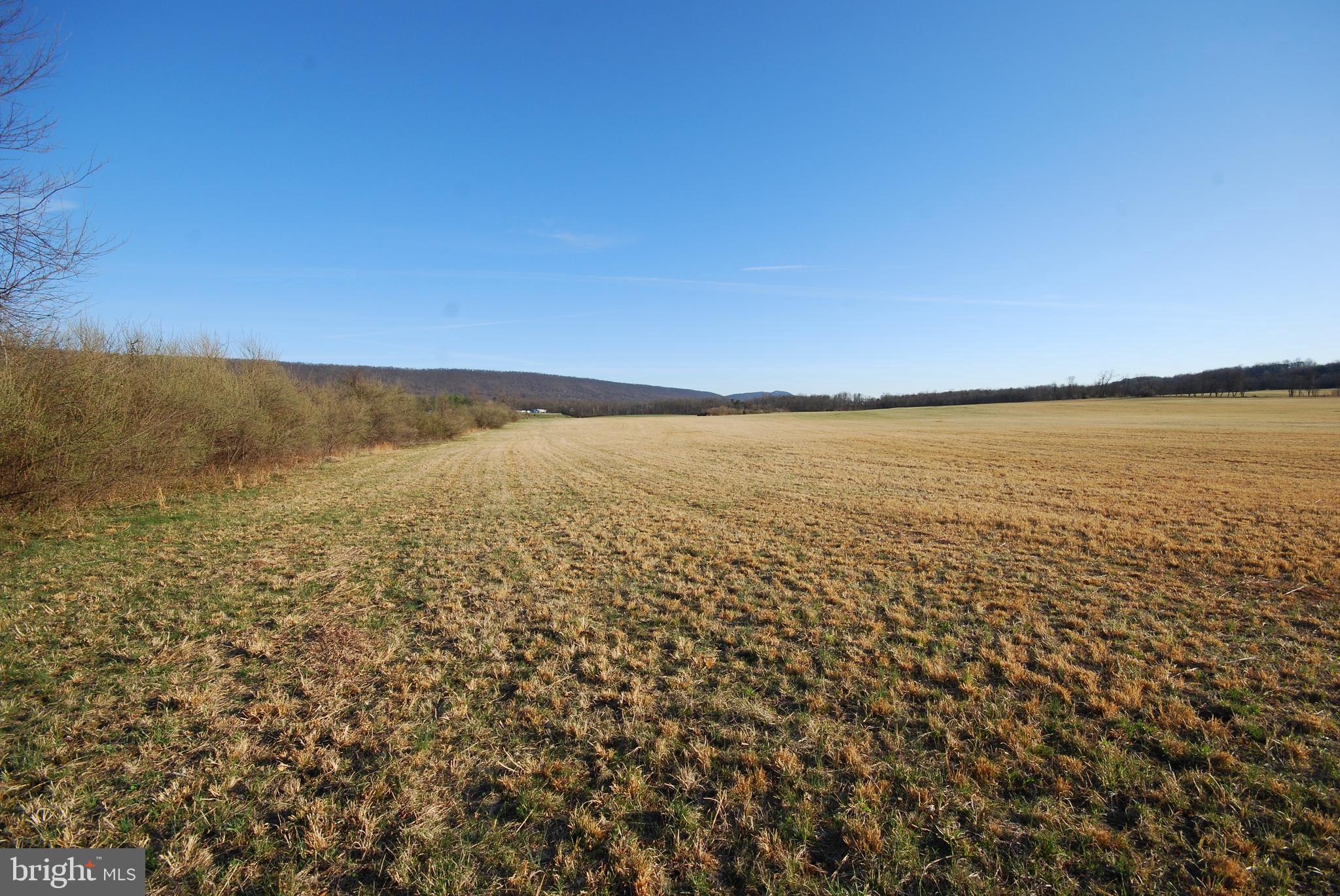 Dominion Road Gerrardstown, WV 25420 - Photo 26 of 61