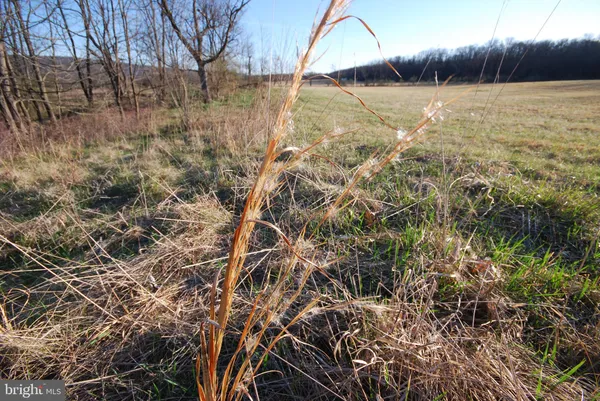 $1,300,000 | Dominion Road, Gerrardstown, WV 25420