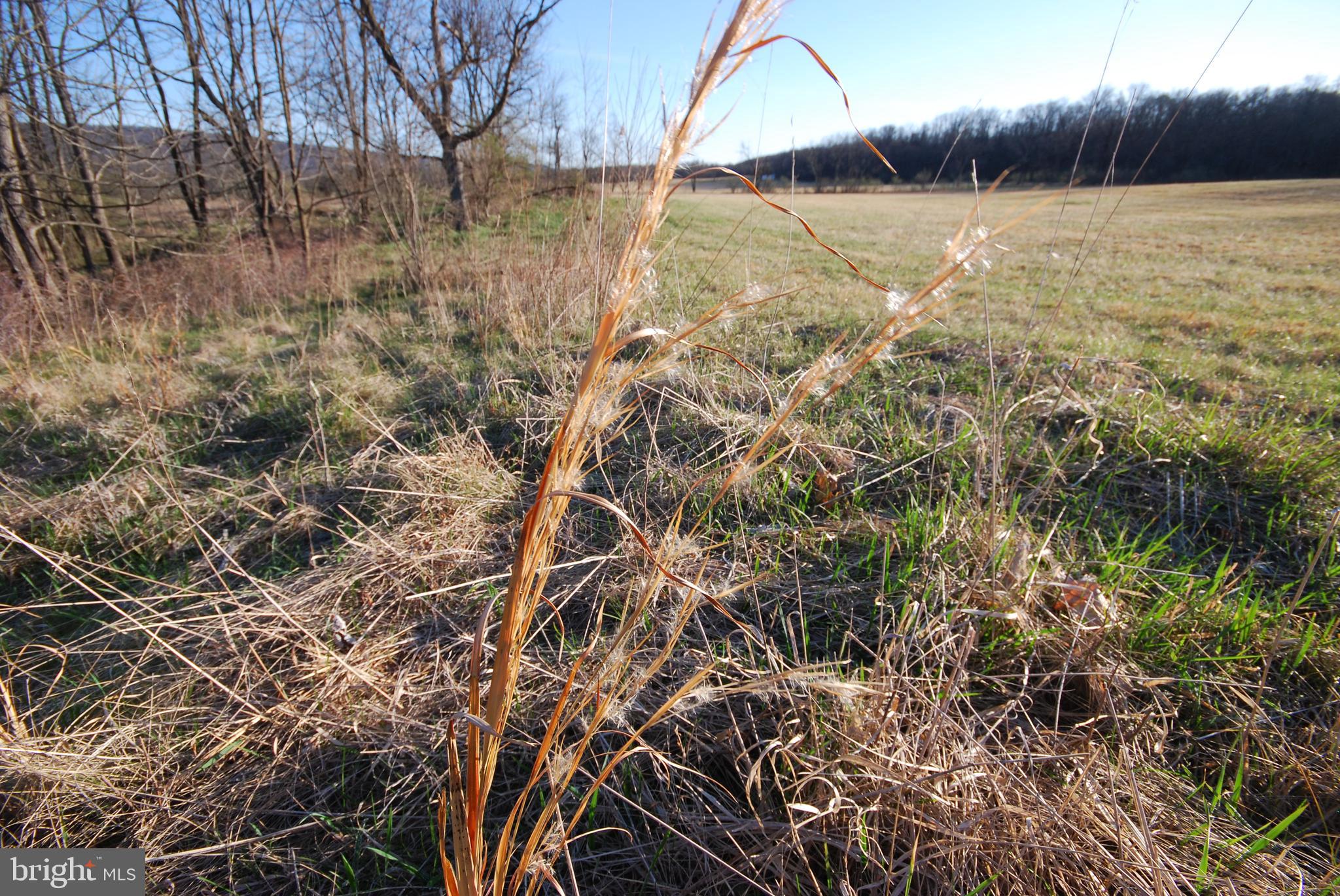 Dominion Road Gerrardstown, WV 25420 - Photo 29 of 61