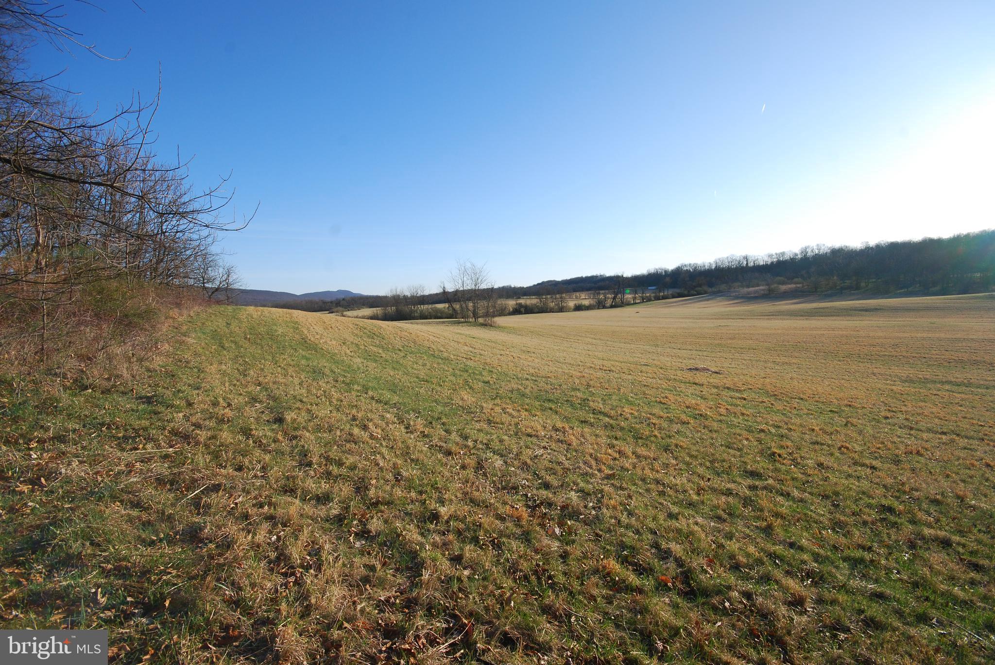 Dominion Road Gerrardstown, WV 25420 - Photo 33 of 61