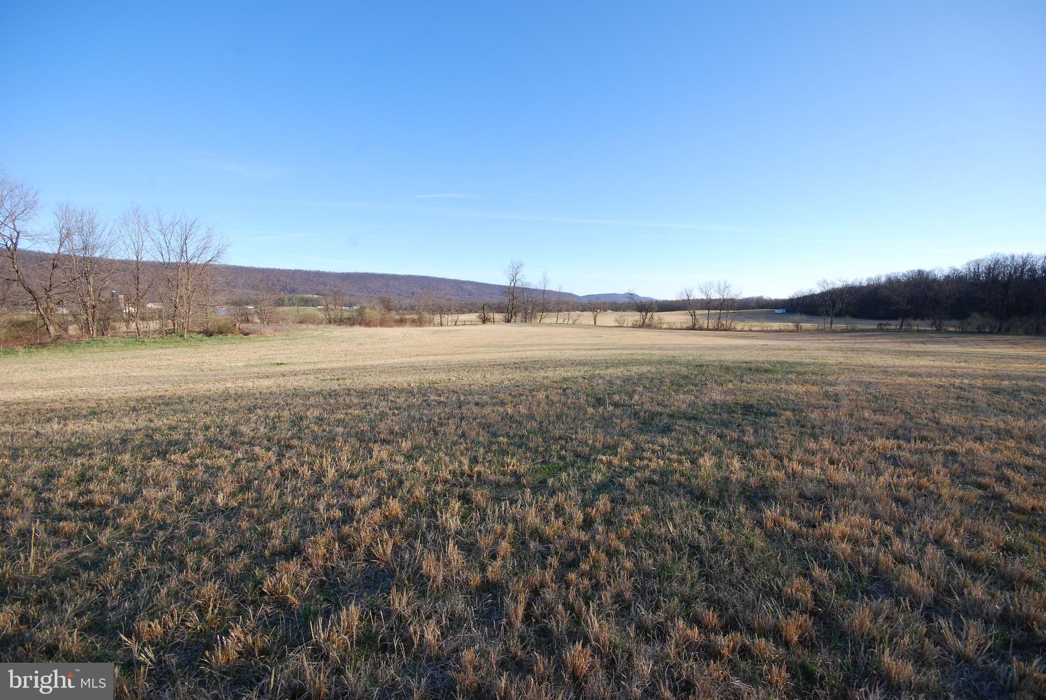 Dominion Road Gerrardstown, WV 25420 - Photo 34 of 61