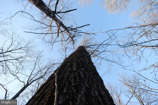 $1,300,000 | Dominion Road, Gerrardstown, WV 25420