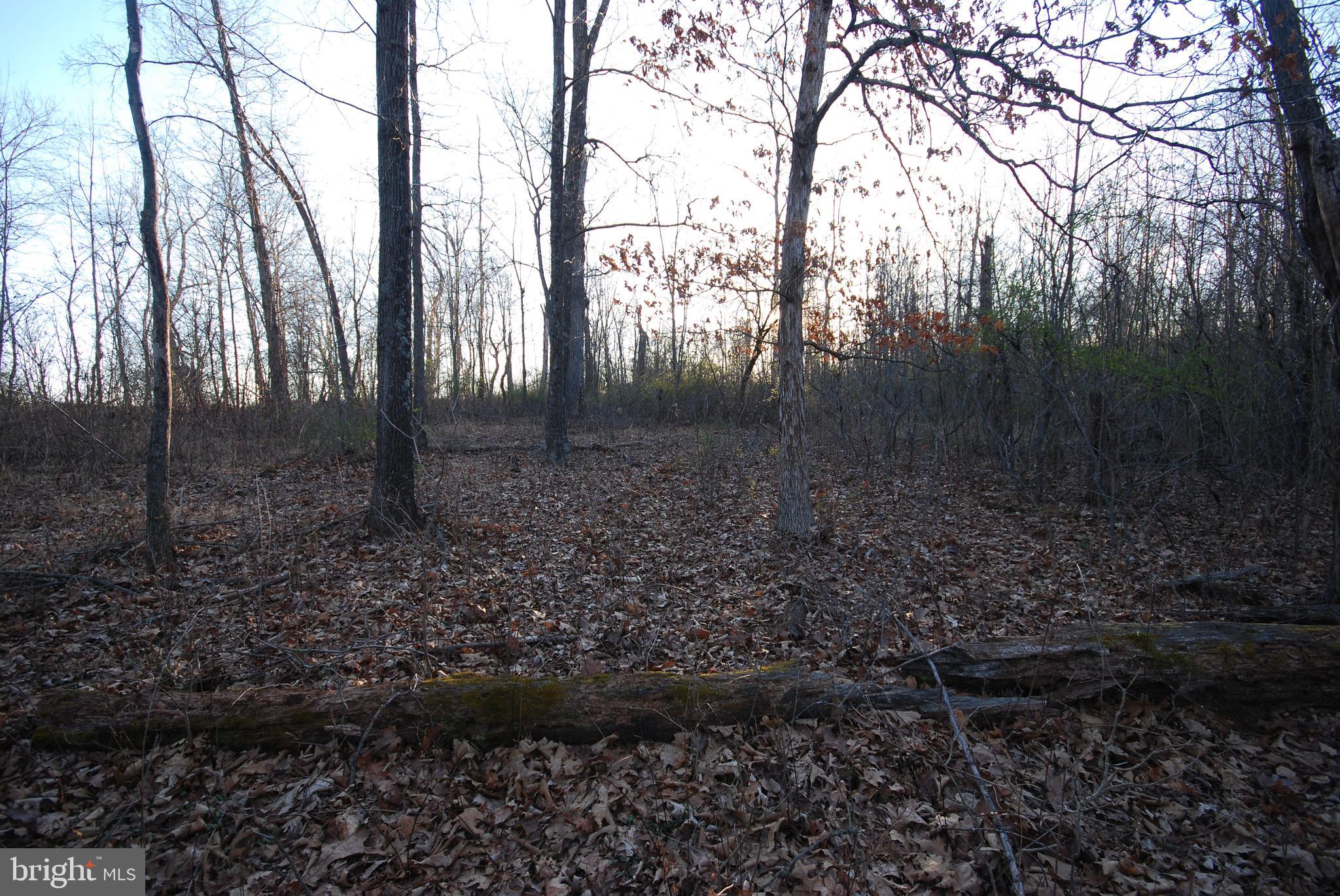 Dominion Road Gerrardstown, WV 25420 - Photo 45 of 61