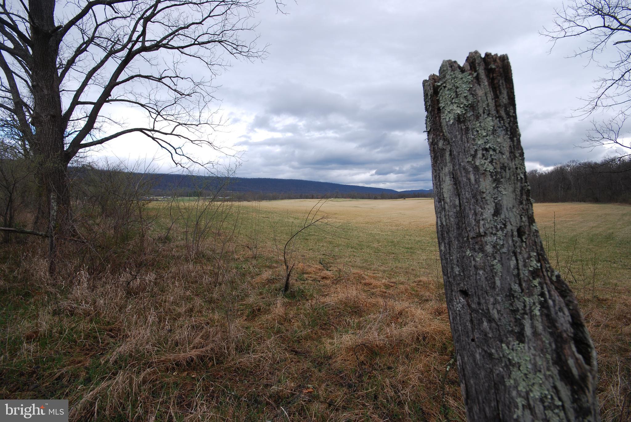 Dominion Road Gerrardstown, WV 25420 - Photo 46 of 61