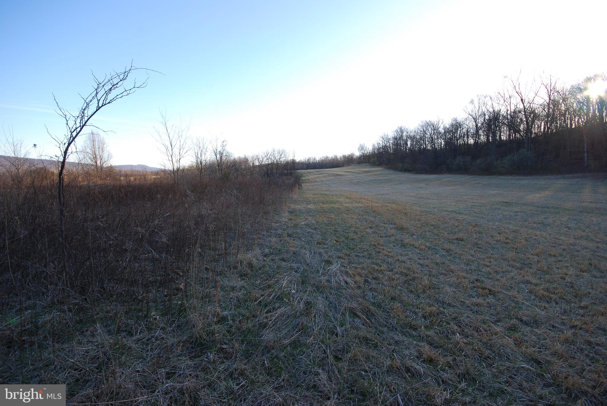 Dominion Road Gerrardstown, WV 25420 - Photo 49 of 61